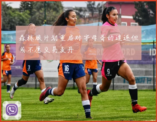 森林狼计划重启对字母哥的追逐但或不愿交易麦丹